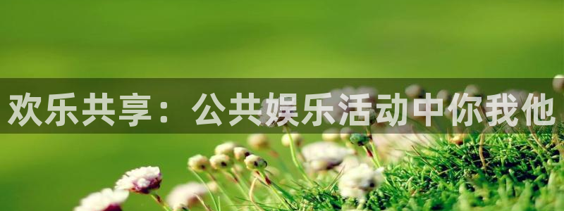 今年会首页：欢乐共享：公共娱乐活动中你我他