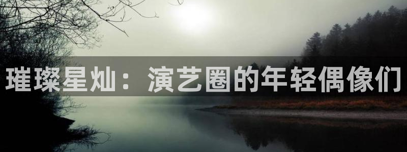 今年会官网登录入口：璀璨星灿：演艺圈的年轻偶像们