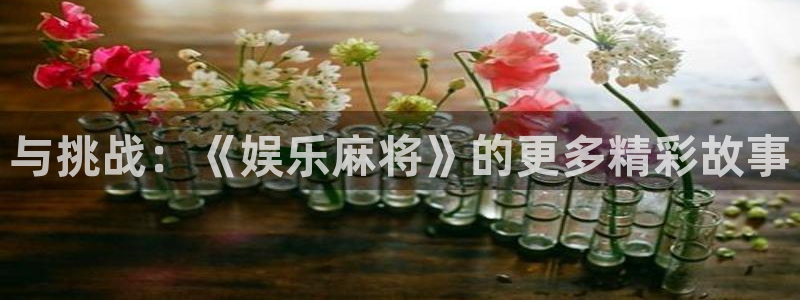 今年会首页：与挑战：《娱乐麻将》的更多精彩故事