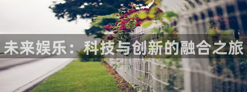 今年会官网登录入口：未来娱乐：科技与创新的融合之旅