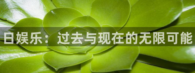 今年会官网登录入口：日娱乐：过去与现在的无限可能
