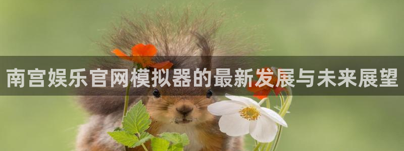 今年会体育：南宫娱乐官网模拟器的最新发展与未来展望