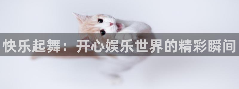 今年会首页：快乐起舞：开心娱乐世界的精彩瞬间